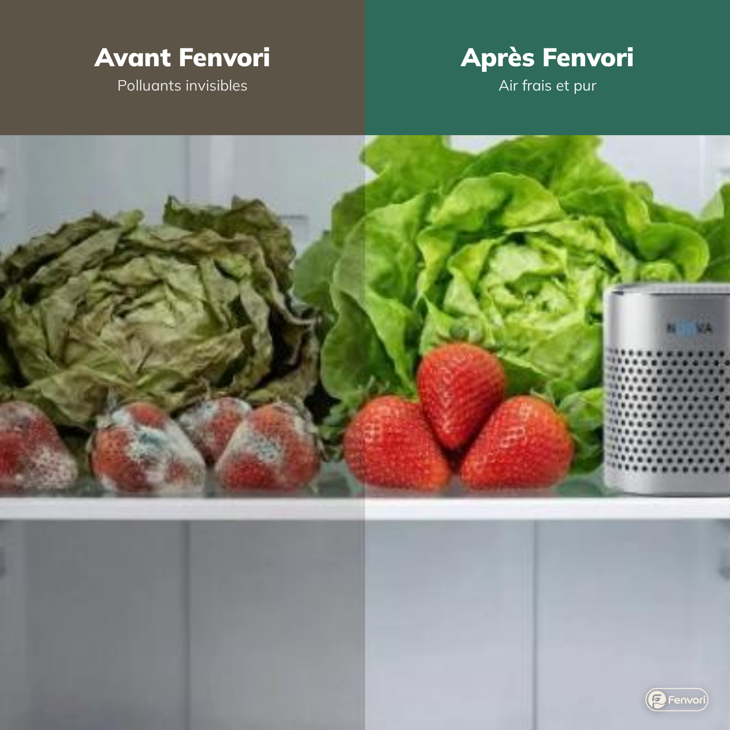 Fenvori — Purificateur d'air pour réfrigérateur